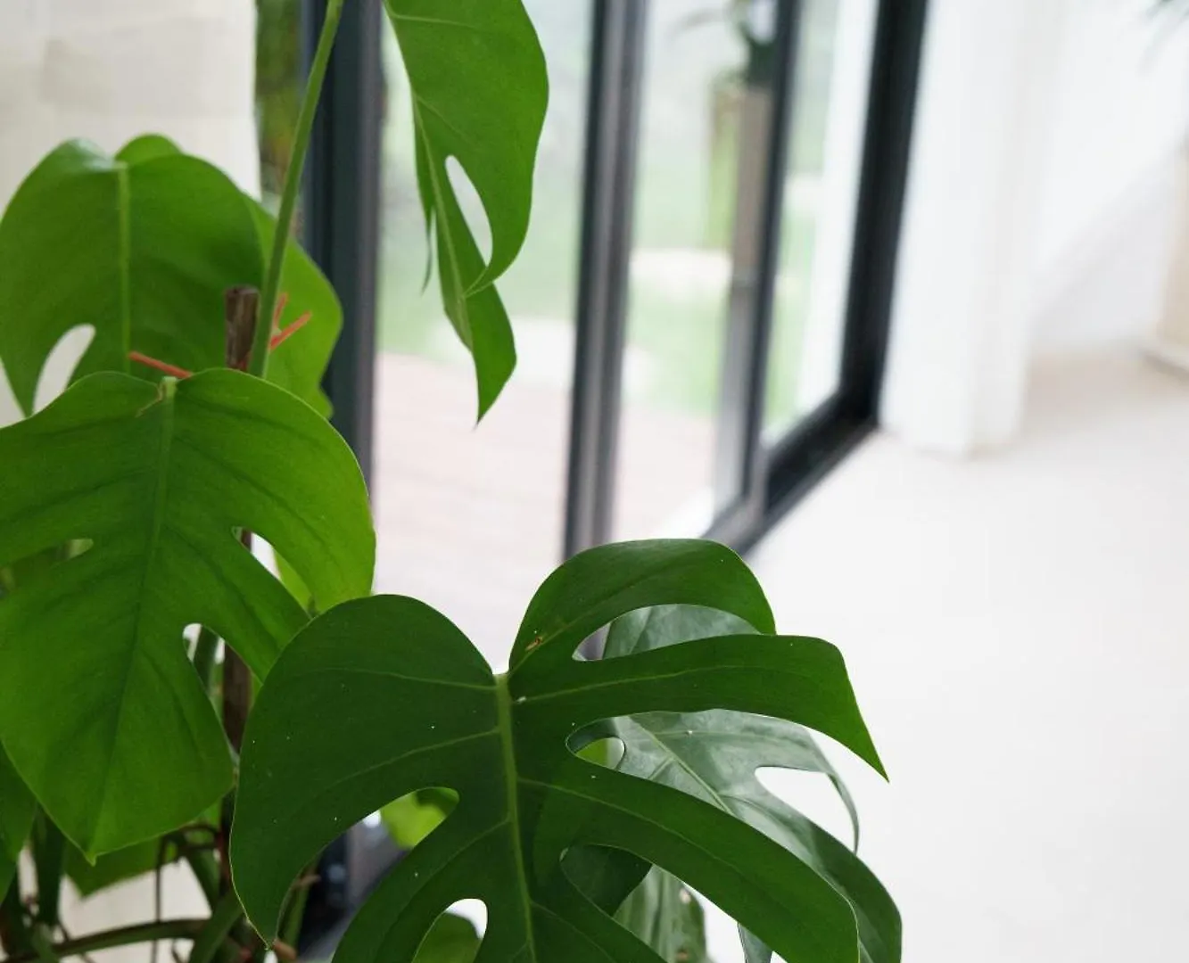 Mau Villa - 2Br Villa In Berawa 캉구 인도네시아